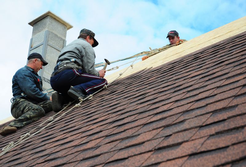 Professional Roofing Work